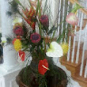 Meet your Posher, Franzine